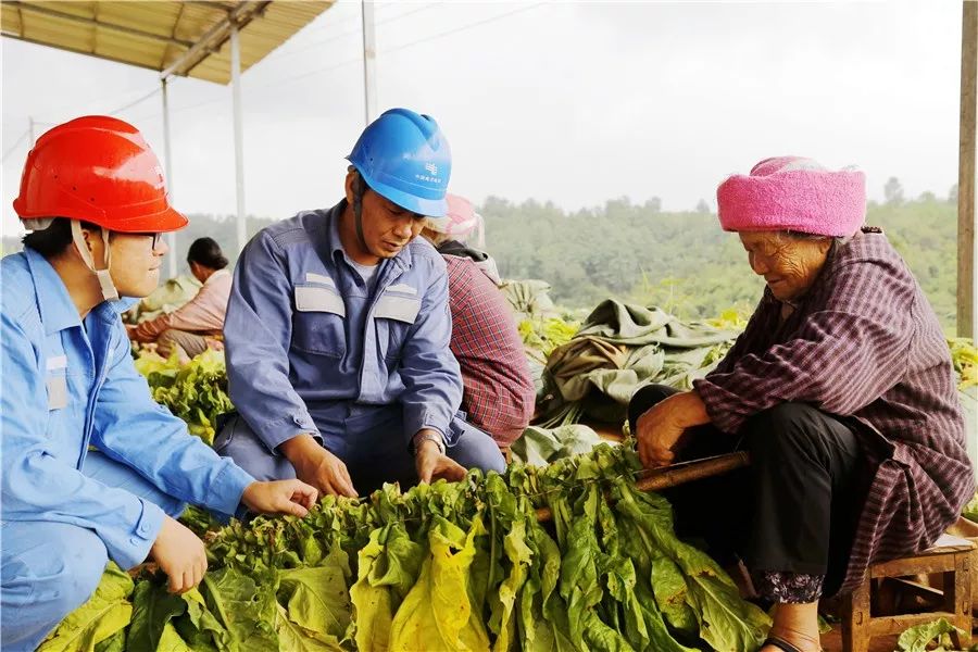 九游体育入口-玉溪男篮挑战时机确立，全力以赴迈向成功的简单介绍